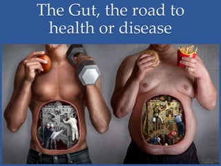 The Gut, the road to
health or disease
 