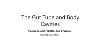 The Gut Tube and Body
Cavities
Themba Hospital FCOG(SA) Part 1 Tutorials
By Dr N.E Manana
 