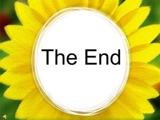 The End
 