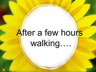 After a few hours
walking….
 