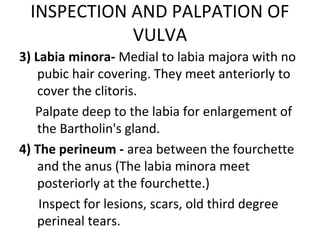 INSPECTION AND PALPATION OF
            VULVA
3) Labia minora- Medial to labia majora with no
    pubic hair covering. They meet anteriorly to
    cover the clitoris.
   Palpate deep to the labia for enlargement of
    the Bartholin's gland.
4) The perineum - area between the fourchette
    and the anus (The labia minora meet
    posteriorly at the fourchette.)
    Inspect for lesions, scars, old third degree
    perineal tears.
 