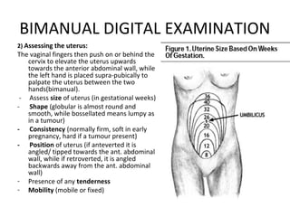 BIMANUAL DIGITAL EXAMINATION
2) Assessing the uterus:
The vaginal fingers then push on or behind the
   cervix to elevate the uterus upwards
   towards the anterior abdominal wall, while
   the left hand is placed supra-pubically to
   palpate the uterus between the two
   hands(bimanual).
 - Assess size of uterus (in gestational weeks)
- Shape (globular is almost round and
   smooth, while bossellated means lumpy as
   in a tumour)
- Consistency (normally firm, soft in early
   pregnancy, hard if a tumour present)
- Position of uterus (if anteverted it is
   angled/ tipped towards the ant. abdominal
   wall, while if retroverted, it is angled
   backwards away from the ant. abdominal
   wall)
- Presence of any tenderness
- Mobility (mobile or fixed)
 