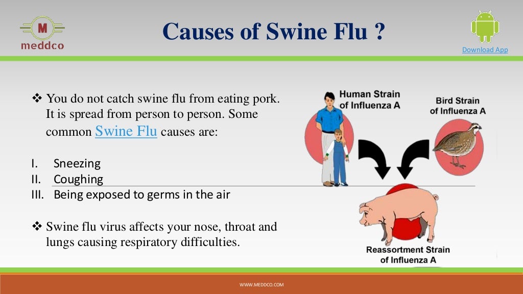 Swine Flu Symptoms Treatment And Prevention Meddco