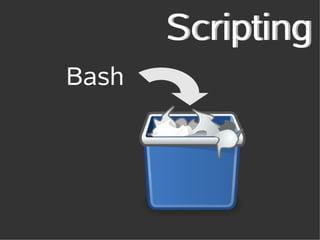 Scripting
Bash
 