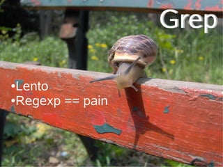 Grep

●Lento
●Regexp == pain
 