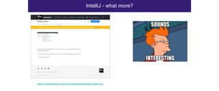 IntelliJ - what more?
https://plugins.jetbrains.com/docs/marketplace/custom-pages.html
 