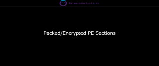 Packed/Encrypted PE Sections
 