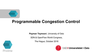 Programmable Congestion Control
Peyman Teymoori, University of Oslo
SDN & OpenFlow World Congress,
The Hague, October 2016
 
