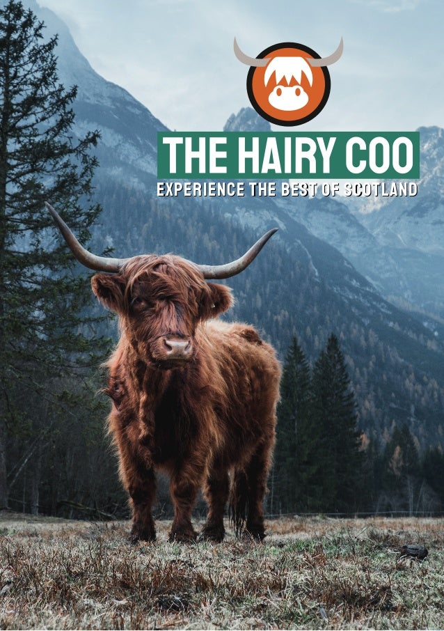 the hairy coo tour reviews