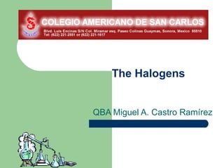 The Halogens


QBA Miguel A. Castro Ramírez
 