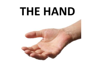 THE HAND
 