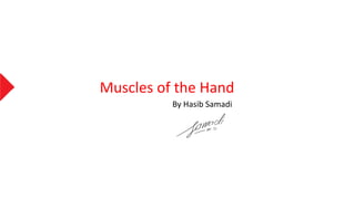 Muscles of the Hand
By Hasib Samadi
 