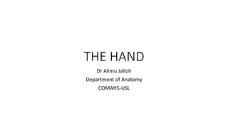 THE HAND
Dr Alimu Jalloh
Department of Anatomy
COMAHS-USL
 
