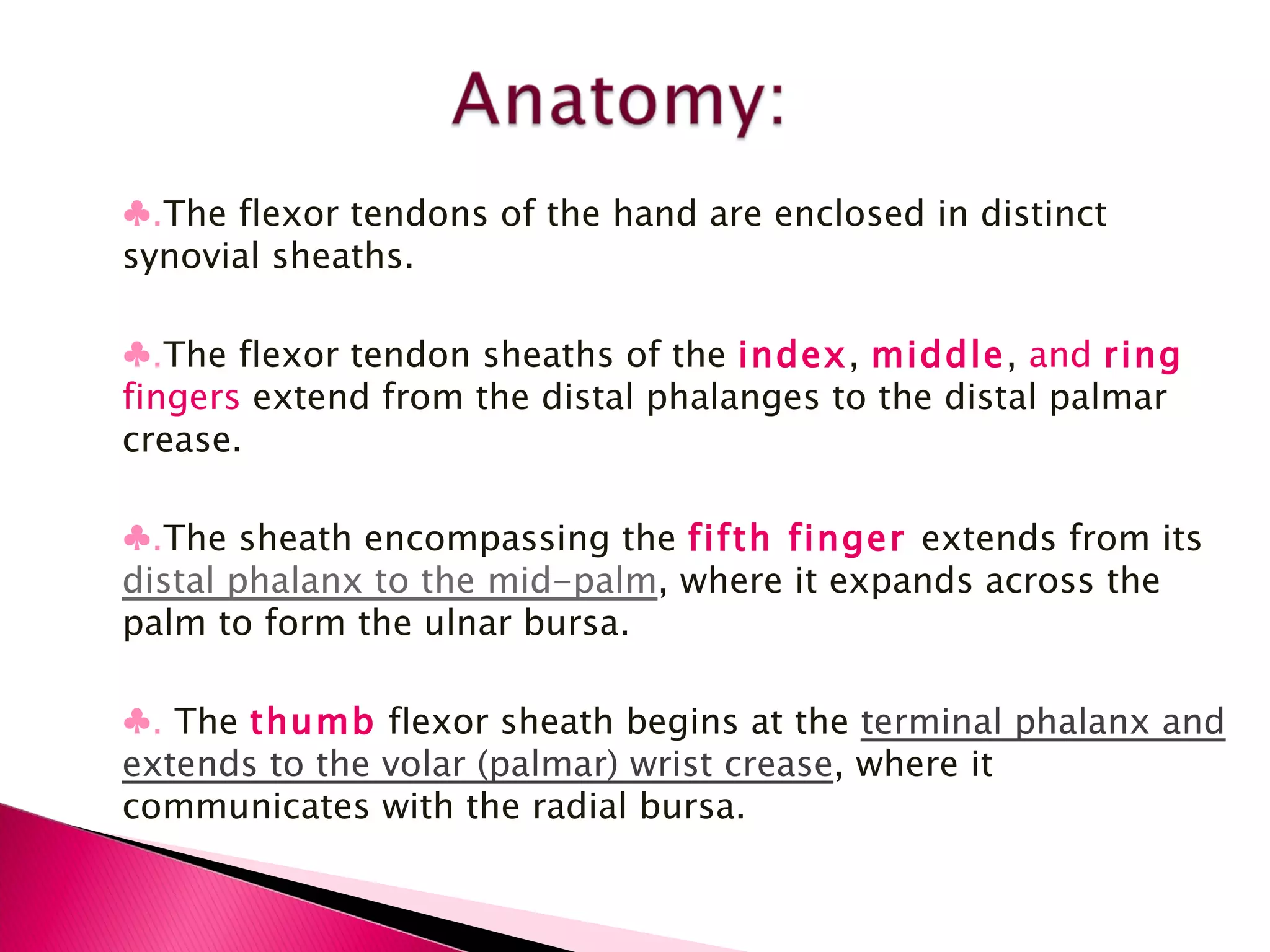 ♣ . The flexor tendons of the hand are enclosed in distinct synovial sheaths. ♣ . The flexor tendon sheaths of the  index ,  middle ,  and  ring  fingers  extend from the distal phalanges to the distal palmar crease. ♣ . The sheath encompassing the  fifth finger  extends from its  distal phalanx to the mid-palm , where it expands across the palm to form the ulnar bursa. ♣ .  The  thumb  flexor sheath begins at the  terminal phalanx and extends to the volar (palmar) wrist crease , where it communicates with the radial bursa. 