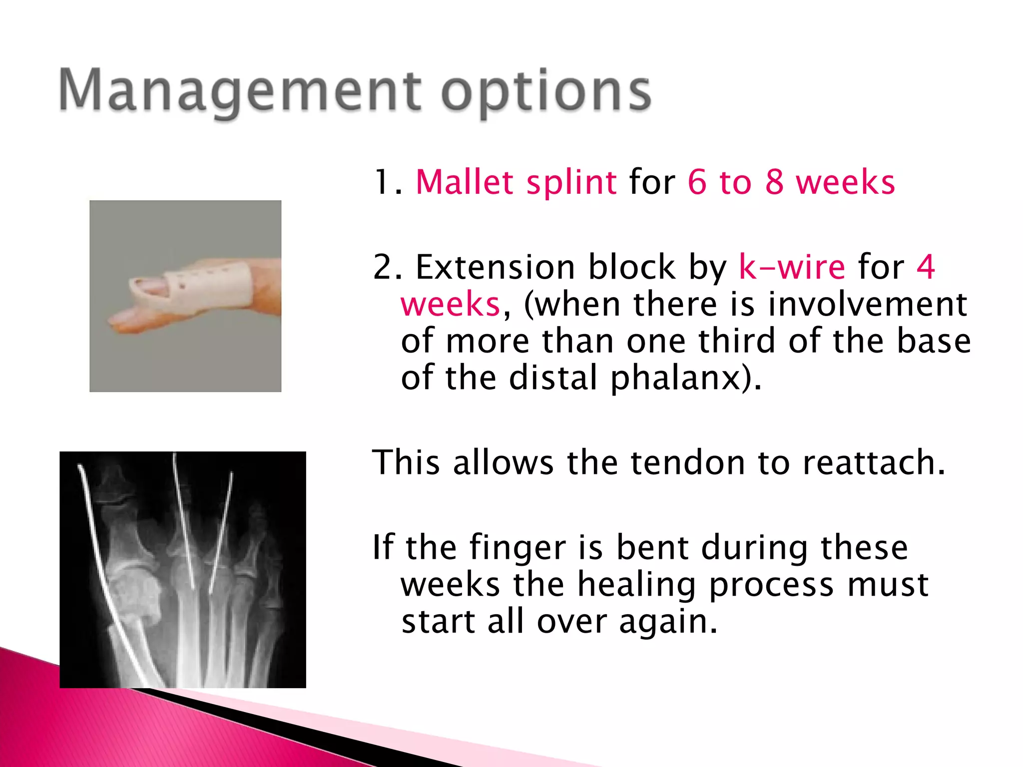 1.  Mallet splint  for  6 to 8 weeks 2. Extension block by  k-wire  for  4 weeks , (when there is involvement of more than one third of the base of the distal phalanx). This allows the tendon to reattach. If the finger is bent during these weeks the healing process must start all over again. 