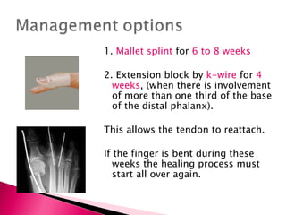 1.  Mallet splint  for  6 to 8 weeks 2. Extension block by  k-wire  for  4 weeks , (when there is involvement of more than one third of the base of the distal phalanx). This allows the tendon to reattach. If the finger is bent during these weeks the healing process must start all over again. 