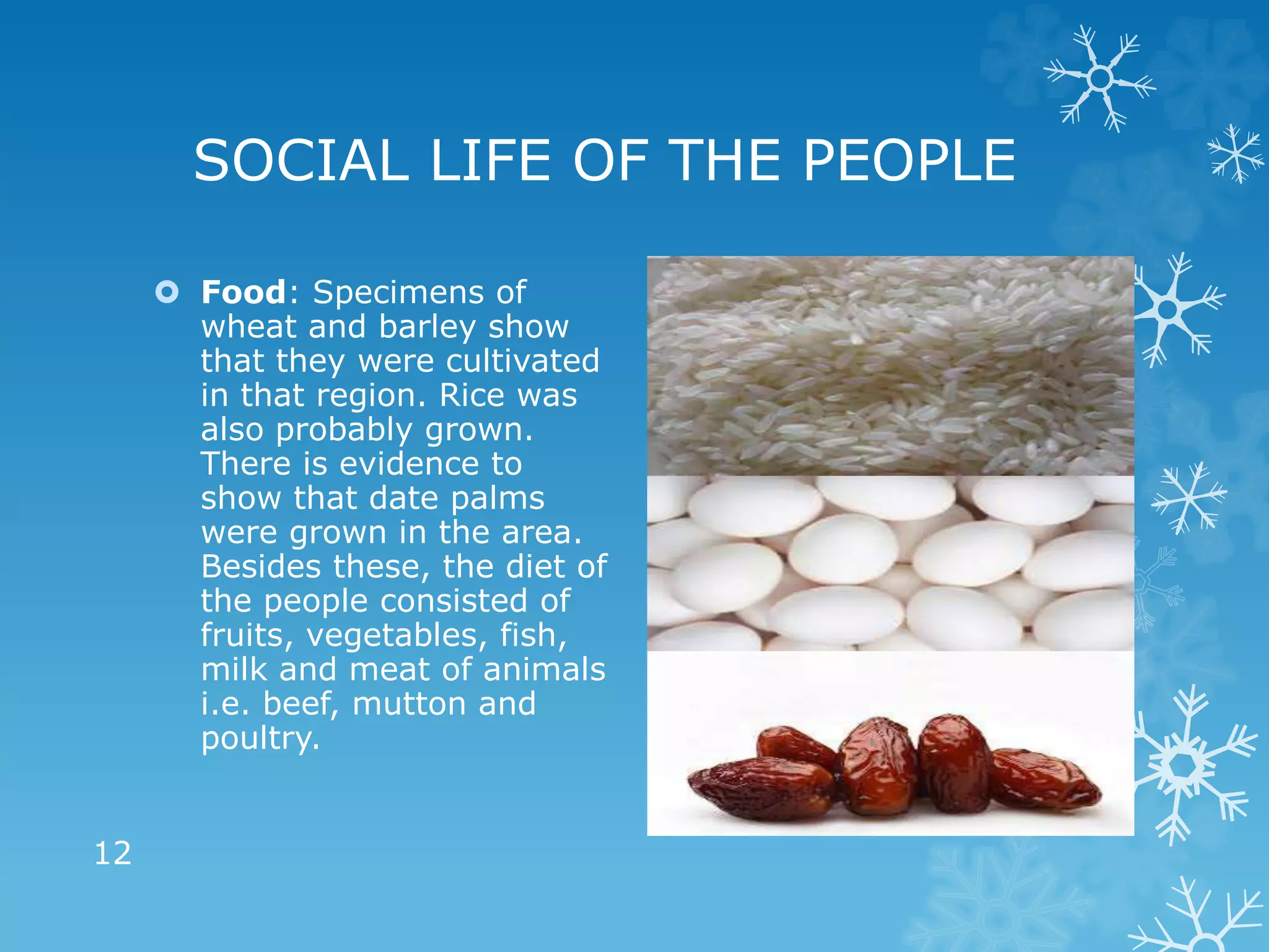 SOCIAL LIFE OF THE PEOPLE
 Food: Specimens of
wheat and barley show
that they were cultivated
in that region. Rice was
also probably grown.
There is evidence to
show that date palms
were grown in the area.
Besides these, the diet of
the people consisted of
fruits, vegetables, fish,
milk and meat of animals
i.e. beef, mutton and
poultry.
12
 