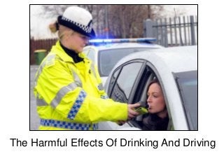 The Harmful Effects Of Drinking And Driving
 