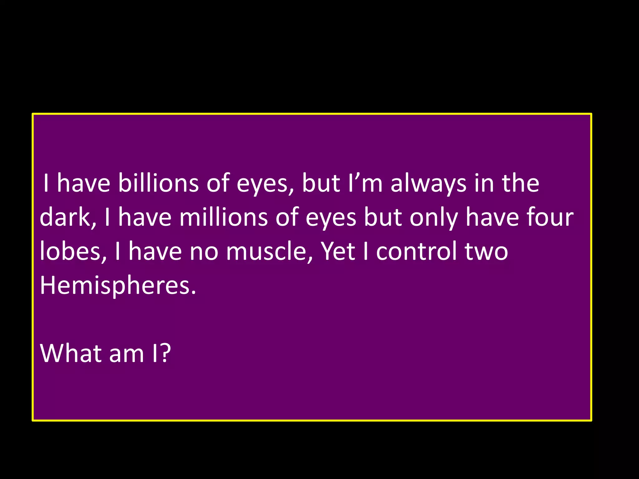 I have billions of eyes, but I’m always in the
dark, I have millions of eyes but only have four
lobes, I have no muscle, Yet I control two
Hemispheres.

What am I?

 