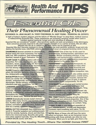 The Healing Touch | PDF