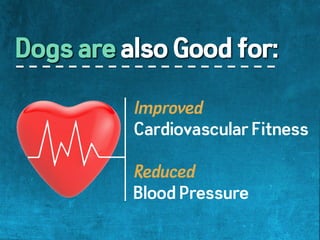 The Health Benefits of Dogs