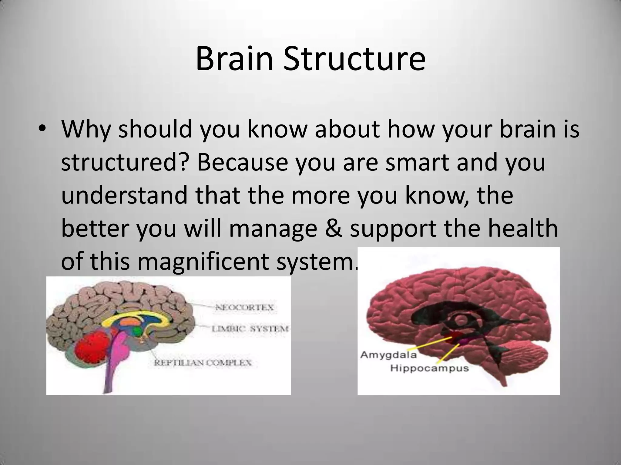 The healthy brain | PPTX