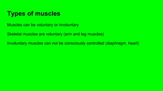 Types of muscles
Muscles can be voluntary or involuntary
Skeletal muscles are voluntary (arm and leg muscles)
Involuntary muscles can not be consciously controlled (diaphragm, heart)
 