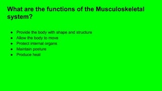 What are the functions of the Musculoskeletal
system?
● Provide the body with shape and structure
● Allow the body to move
● Protect internal organs
● Maintain posture
● Produce heat
 