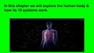 In this chapter we will explore the human body &
how its 10 systems work.
 