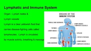 Lymphatic and Immune System
Organ - Lymph nodes &
Lymph vessels
Lymph is a clear yellowish fluid that
carries disease-fighting cells called
lymphocytes. Lymph is circulated
by muscle activity, breathing & massage
 