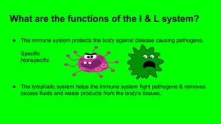 What are the functions of the I & L system?
● The immune system protects the body against disease causing pathogens.
Specific
Nonspecific
● The lymphatic system helps the immune system fight pathogens & removes
excess fluids and waste products from the body’s tissues.
 