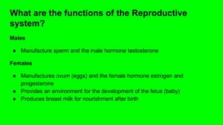 What are the functions of the Reproductive
system?
Males
● Manufacture sperm and the male hormone testosterone
Females
● Manufactures ovum (eggs) and the female hormone estrogen and
progesterone
● Provides an environment for the development of the fetus (baby)
● Produces breast milk for nourishment after birth
 