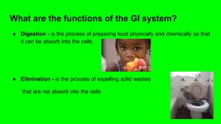 What are the functions of the GI system?
● Digestion - is the process of preparing food physically and chemically so that
it can be absorb into the cells
● Elimination - is the process of expelling solid wastes
that are not absorb into the cells
 
