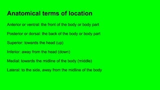 Anatomical terms of location
Anterior or ventral: the front of the body or body part
Posterior or dorsal: the back of the body or body part
Superior: towards the head (up)
Inferior: away from the head (down)
Medial: towards the midline of the body (middle)
Lateral: to the side, away from the midline of the body
 