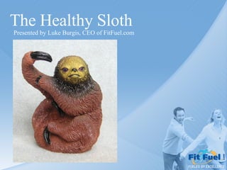 The Healthy Sloth Presented by Luke Burgis, CEO of FitFuel.com 