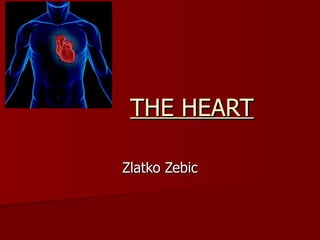 THE HEART Zlatko Zebic 