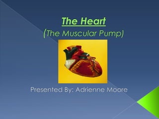 The Heart (The Muscular Pump) Presented By: Adrienne Moore 