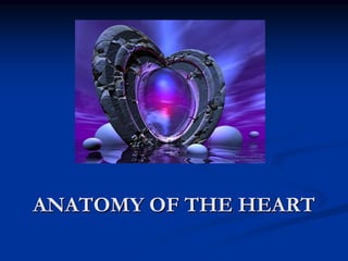 ANATOMY OF THE HEART
 