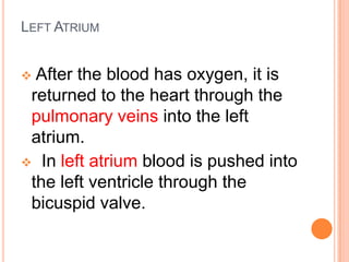 Blood from the right ventricle is pushed out of the heart into the pulmonary artery where it is transported to the lungs 