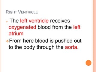 In the lungs oxygen is received into the bloodFollow the arrows to see how blood flows           through the heart.