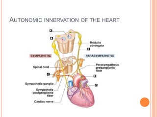 What structures can you identify?