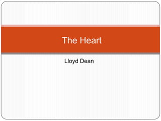 The Heart

Lloyd Dean
 