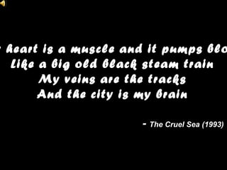 My heart is a muscle and it pumps blood Like a big old black steam train My veins are the tracks And the city is my brain -  The Cruel Sea (1993) 
