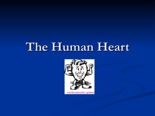 The Human Heart 