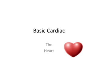 Basic Cardiac

     The
    Heart
 