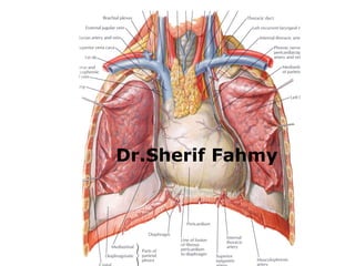The Heart (Anatomy of the Thorax) | PPS