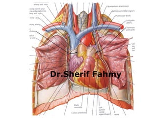 The Heart (Anatomy of the Thorax) | PPS