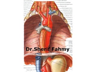 The Heart (Anatomy of the Thorax) | PPS
