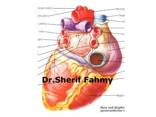 Dr.Sherif Fahmy
 