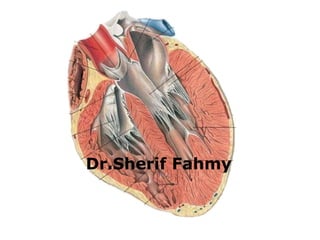 Dr.Sherif Fahmy
 